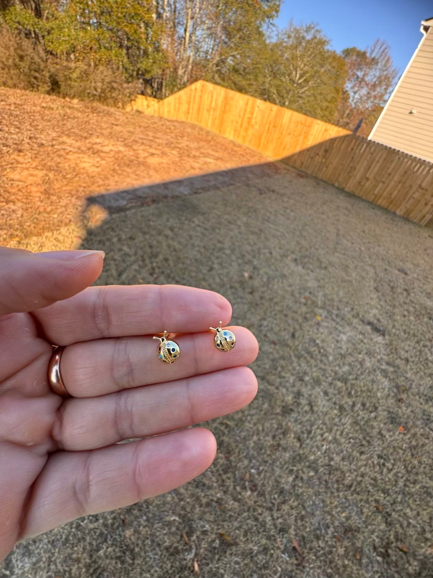 EARRING MINI LADYBUG